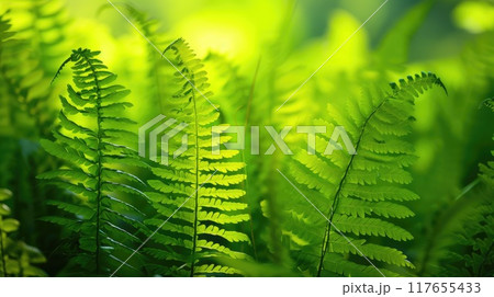 Fern plant. Generative AI 117655433