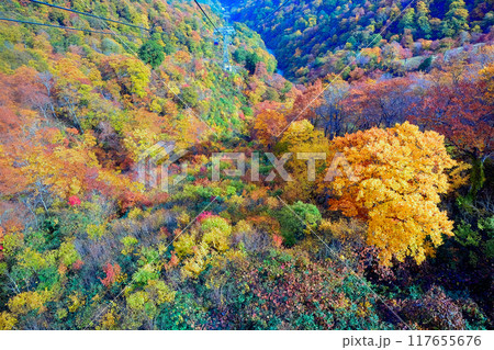紅葉する谷川岳ロープウェイ 紅葉する谷川岳ロープウェイ 117655676