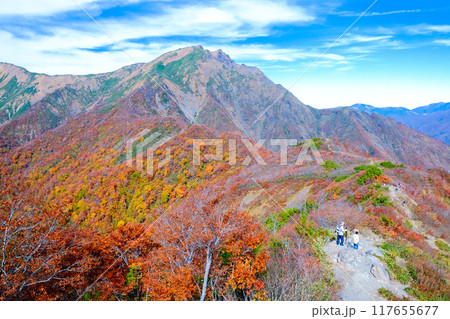 紅葉の天神平から望む谷川岳 117655677