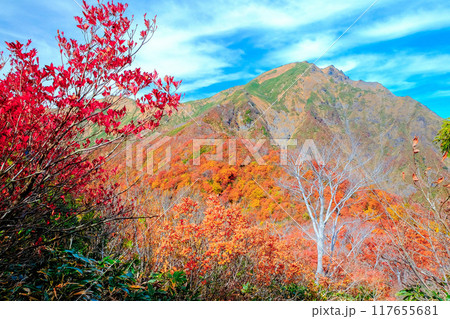 紅葉の稜線から見る谷川岳 117655681