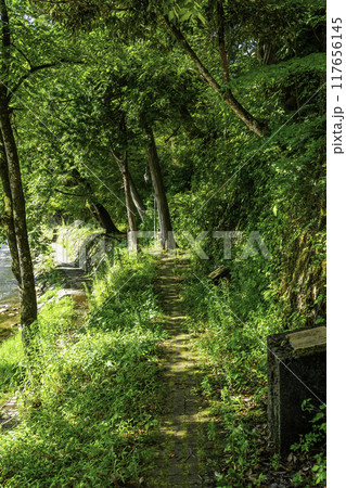 奥津温泉 歌の小径 岡山県鏡野町 奥津温泉 歌の小径 岡山県鏡野町 117656145