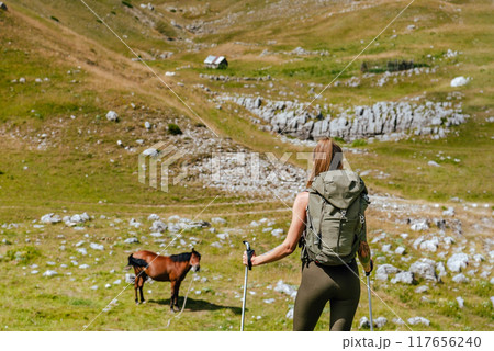 Back View of Woman Hiker Looking at Horse 117656240
