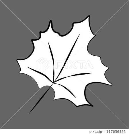 Vector Caricature style Maple Leaf. Outline Black and White Botany element isolated on Grey Background. Autumn Fallen Leaves concept illustration in Linear art Style for Card, Coloring Book, Design 117656323