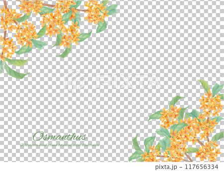Frame material of sweet osmanthus painted with watercolors Frame material of sweet osmanthus painted with watercolors 117656334