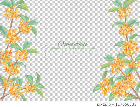 水彩で描いたキンモクセイのフレーム素材 117656335
