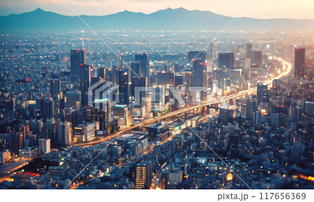 霧に包まれた都会の夜景 霧に包まれた都会の夜景 117656369