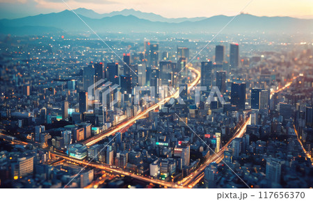 霧に包まれた都心の夕景 117656370