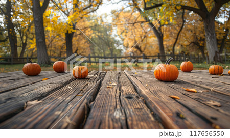 Table top with blur background of autumn 117656550