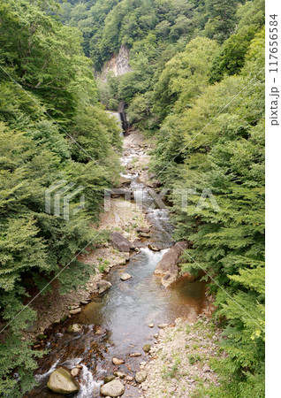 女夫渕駐車場付近の渓谷 117656584