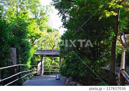 椿山荘の景色 117657036