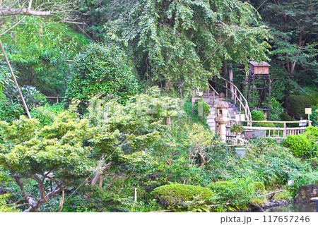 森の中の小さな橋 森の中の小さな橋 117657246