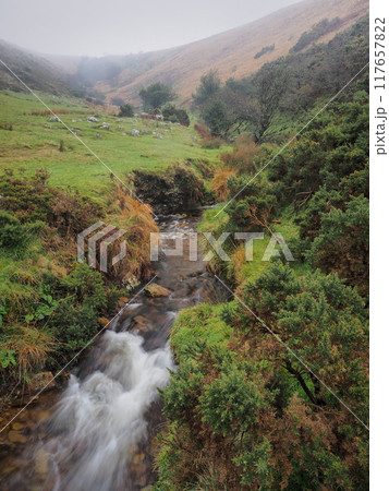 Stream coming down steep gulley into Meldon Reservoir, Dartmoor, UK 117657822