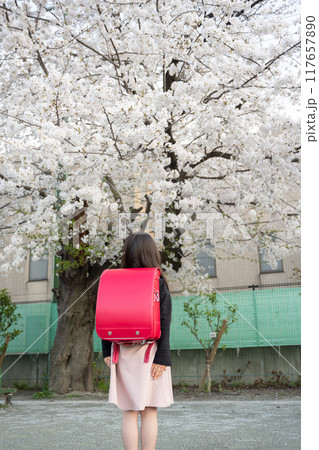 入学式に桜の木の下で赤いランドセルを背負った女の子 117657890