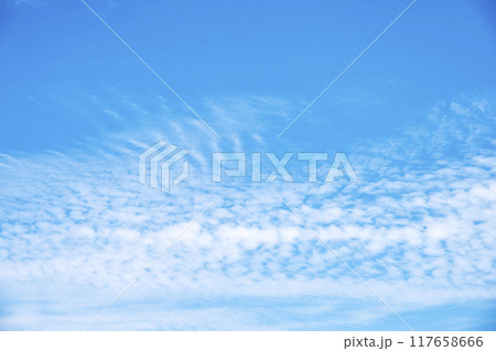 青空 夏空 夏イメージ 青空 夏空 夏イメージ 117658666