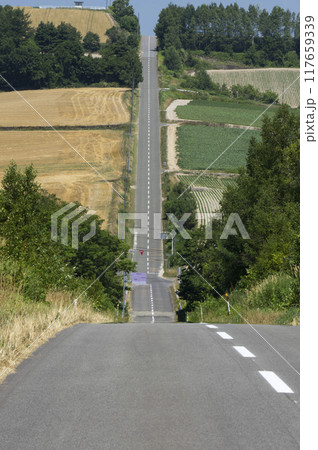 ジェットコースターの路 117659339