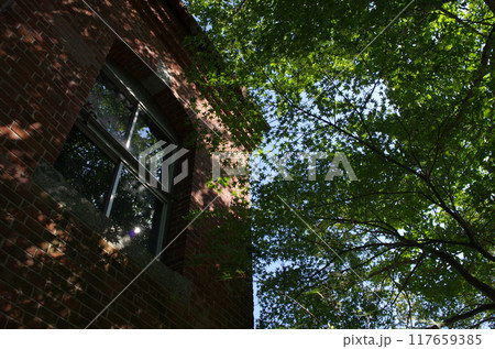 旧街道に佇むレンガ造りの瀟洒な建物。今は役目を終えた発電所。夏の日、静かに田園風景に溶け込んでいた。 117659385