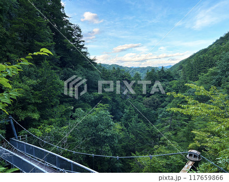 新緑と吊り橋 117659866
