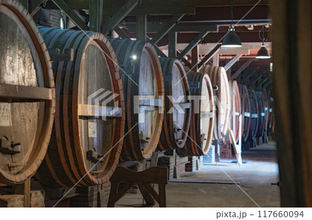 茨城　牛久シャトー 117660094