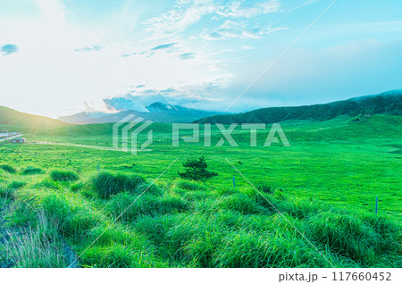 早朝の草千里ヶ浜　熊本 阿蘇 117660452