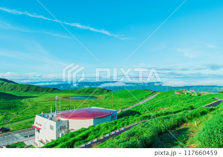 早朝の草千里ヶ浜 熊本 阿蘇 早朝の草千里ヶ浜 熊本 阿蘇 117660459