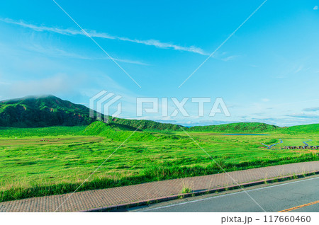 早朝の草千里ヶ浜　熊本 阿蘇 117660460