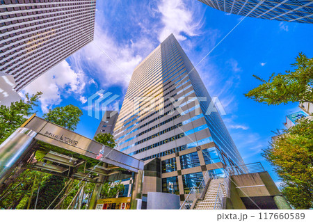 日本の東京都市景観 8月。新宿エルタワーなどを望む=20日 日本の東京都市景観 8月。新宿エルタワーなどを望む=20日 117660589