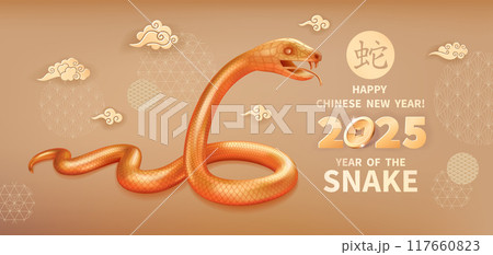 2025 Year of the Snake 25 117660823