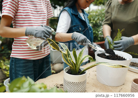 Girl Watering Plants After Planting Girl Watering Plants After Planting 117660956