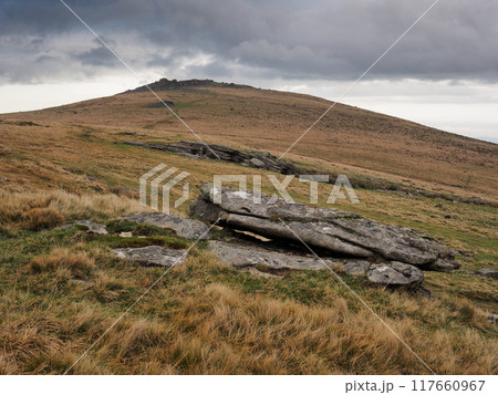 Looking up to Higher Tor, Dartmoor UK 117660967