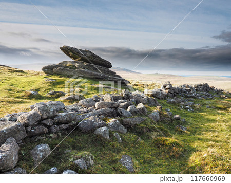 Rabbit Rock next to Irishman's Wall near Belstone Tor, Dartmoor UK 117660969