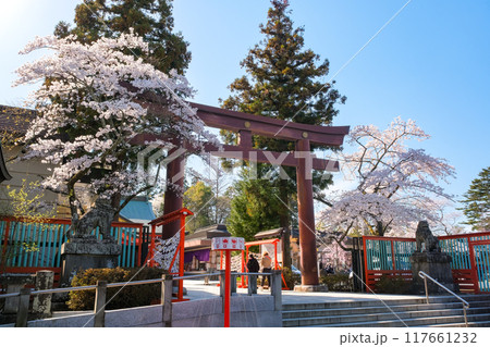 宮城県仙台市 宮城縣護國神社 宮城県仙台市 宮城縣護國神社 117661232