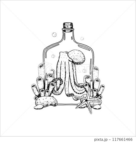Octopus inside a bottle, underwater world.Vector illustration isolated on white background. Octopus inside a bottle, underwater world.Vector illustration isolated on white background. 117661466