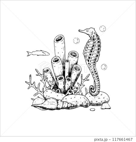Sea composition with corals, stones, seahorse. Underwater world.Vector illustration isolated on white background. Sea composition with corals, stones, seahorse. Underwater world.Vector illustration isolated on white background. 117661467