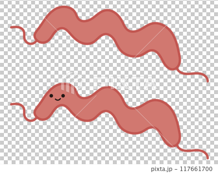 カンピロバクターのイラスト 117661700