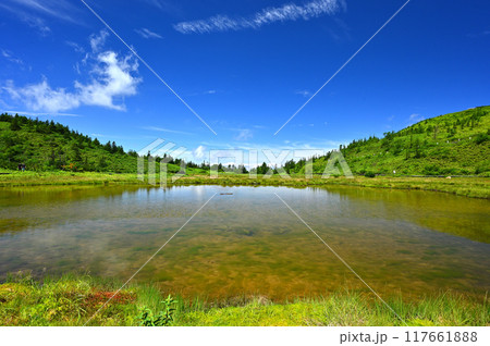 天空の楽園 弓池 天空の楽園 弓池 117661888