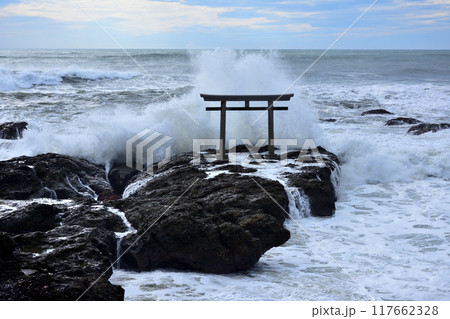大洗の神磯 大洗の神磯 117662328