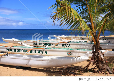 オアフ島　ノースショア 117662897