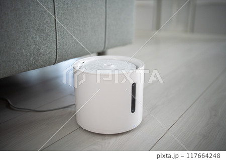 Automatic electric pet water dispenser. Smart cat and small dog drinker with mobile app connection. Automatic electric pet water dispenser. Smart cat and small dog drinker with mobile app connection. 117664248