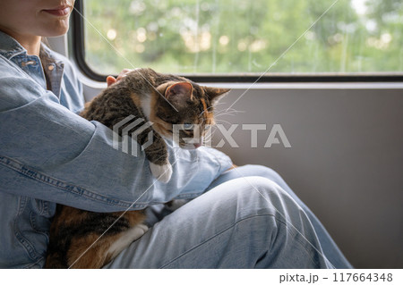 Traveling with pets. Restless cat sits on owner lap due public transportation train ride near window 117664348