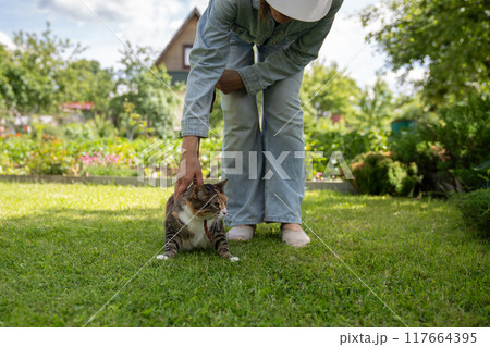Frightened cat looking around tensely, clinging to green grass. Owner strokes pet tries to calm down 117664395