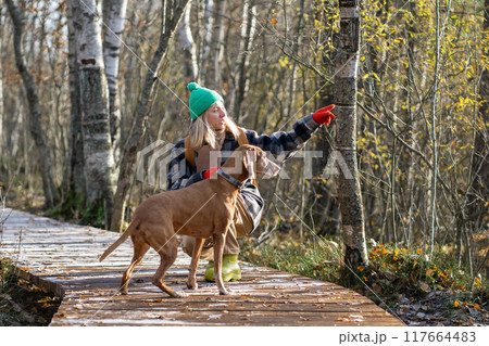 Passionate woman in warm attire directs purebred Magyar Vizsla hunting dog towards bird in woods Passionate woman in warm attire directs purebred Magyar Vizsla hunting dog towards bird in woods 117664483