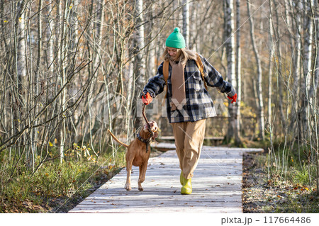 Positive woman walking vizsla dog spends happy weekend in woods eco trail having fun with pet. Positive woman walking vizsla dog spends happy weekend in woods eco trail having fun with pet. 117664486