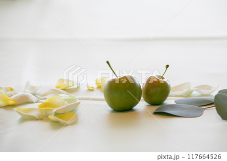 りんごを使ったテーブル飾り　結婚式 117664526
