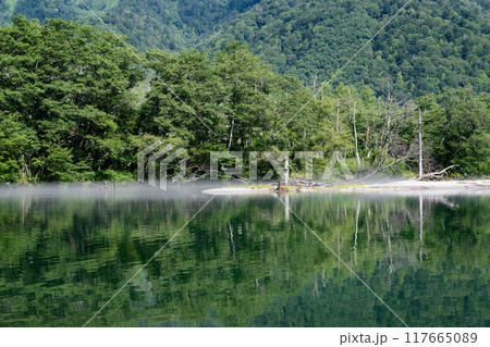 夏の上高地,大正池/長野県 夏の上高地,大正池/長野県 117665089