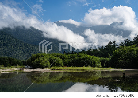 夏の上高地,大正池/長野県 夏の上高地,大正池/長野県 117665090