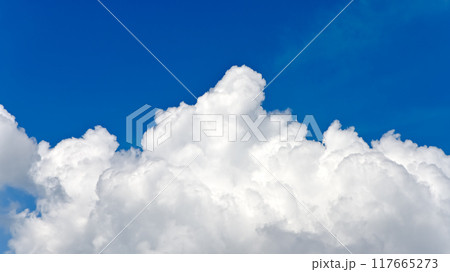 真夏の青空と雲 117665273