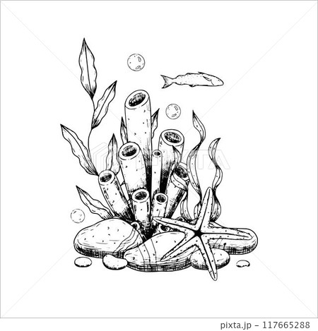 Sea composition with corals, stones, starfish. Underwater world. Vector illustration isolated on white background. 117665288