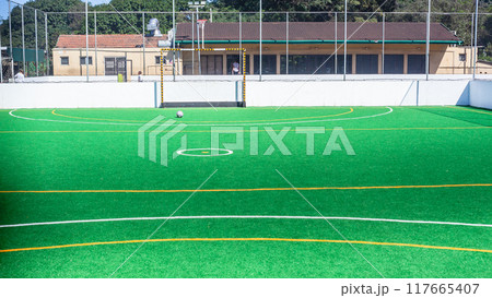Soccer Football  Astro Turf Netted Field 117665407