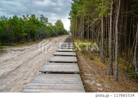 Trail to observation deck on Olenya Buda dunes with views of Swan Lake. Curonian Spit National Park. Russia 117665534