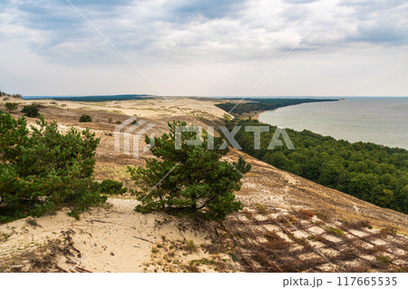 View of Cape Grabst from observation deck on Olenya Buda dunes. Curonian Spit National Park. Russia 117665535